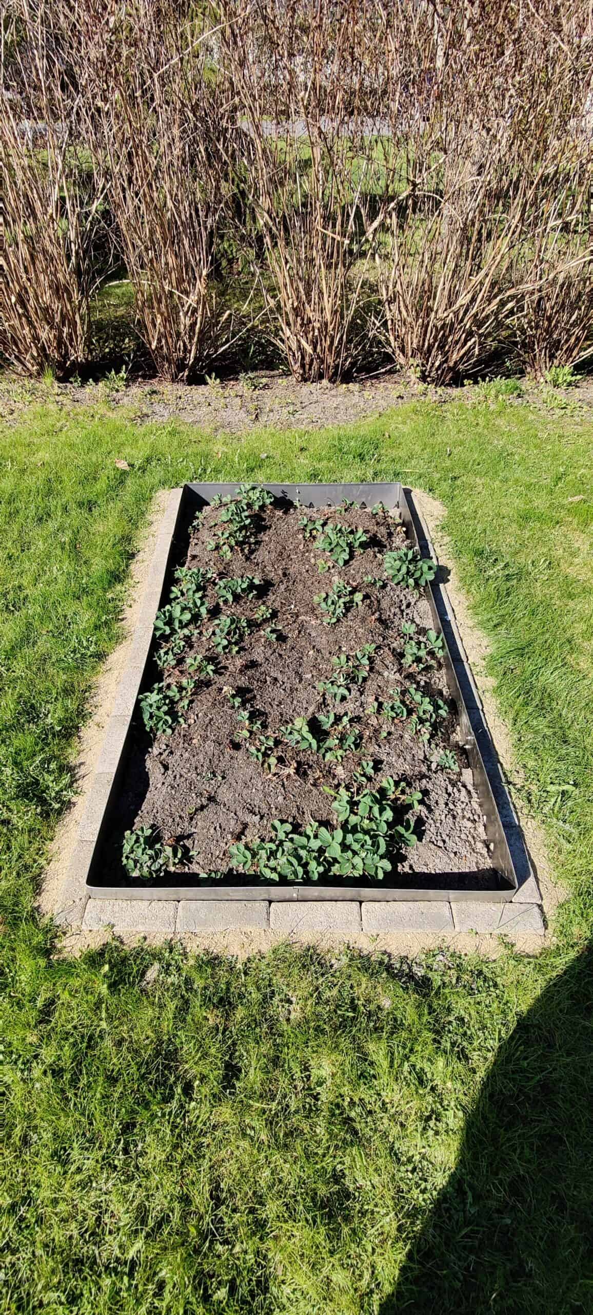 Rajausreuna 175 mm (610-612) - Image 5